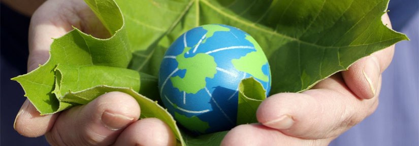 social_good-hands-earth-leaves