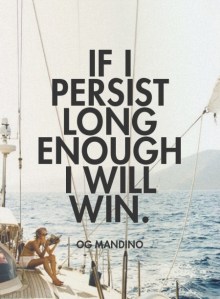 persist-win